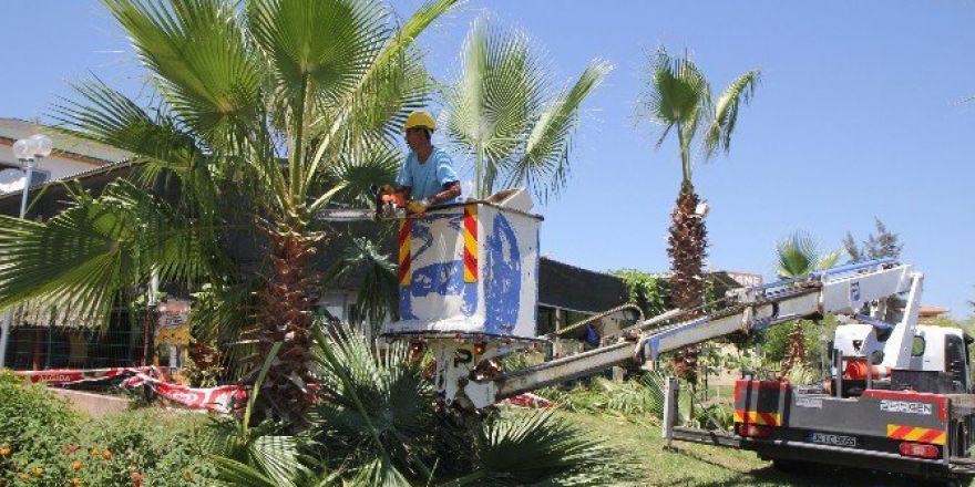 Toroslar’da Yeşil Alanlara Bakım Yapılıyor