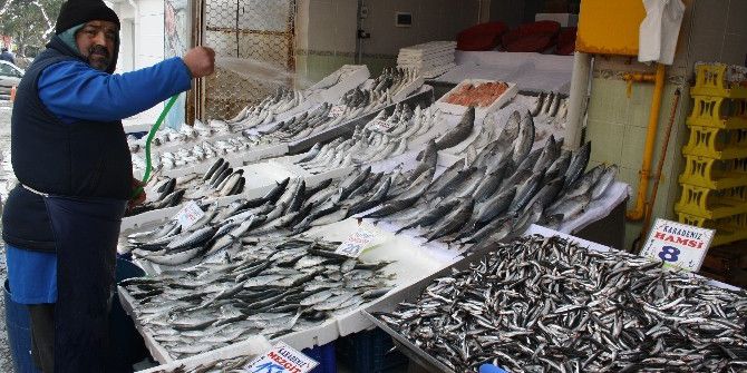 Fırtına Dindi, Balık Fiyatları Düştü
