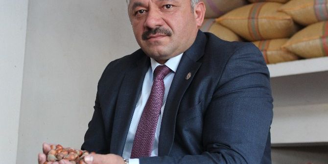 Soydan: “Kimse Fındık Fiyatlarından Memnun Değil”