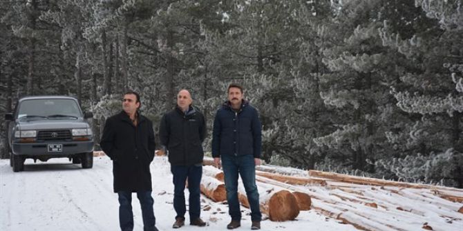 Kütahya Orman Bölge Müdürü Adnan Kayım, Gediz Ormanlarını İnceledi