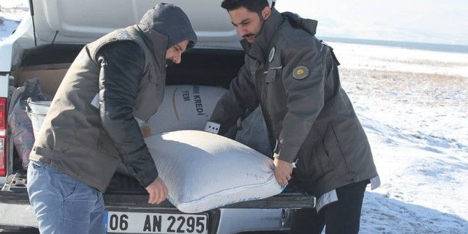 Yaban Hayvanları İçin Doğaya Yem Bırakıldı