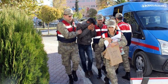 Nohut Hırsızları Yakalandı