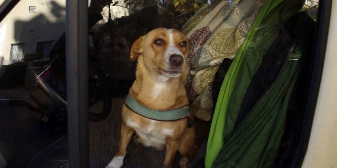 3 Gündür Minibüste Kalan Köpek Polis Ve İtfaiyeyi Alarma Geçirdi