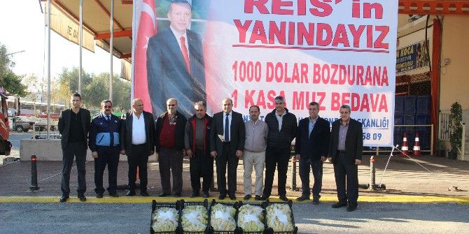 Bin Dolar Bozdurana 1 Kasa Alanya Muzu