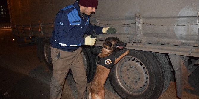 Giresun’da 600 Polis İle ‘Huzur’ Uygulaması