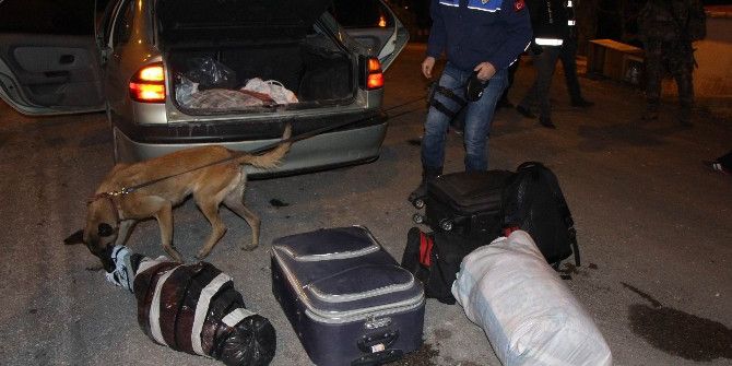 Amasya’da 260 Polisle Huzur Operasyonu