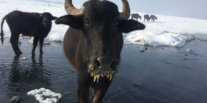 Soğuktan Yüzleri Dondu