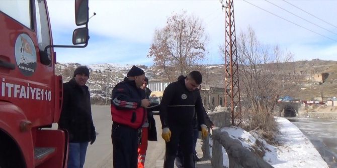 Dalgıç Kovaladı, Yaralı Ördek Kaçtı