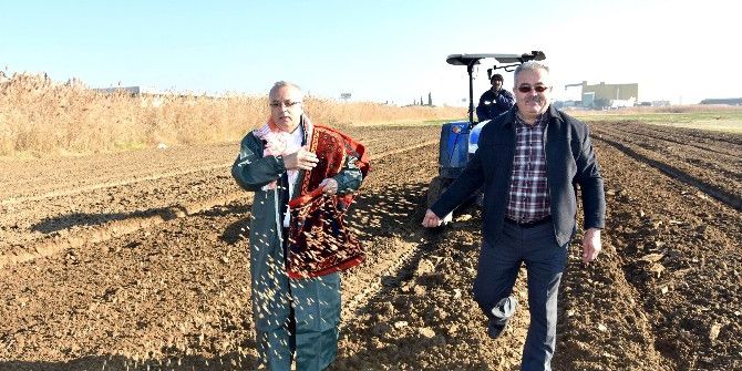 Yerli Tohumdan Ekmek Üretilecek