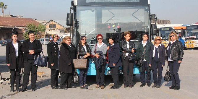 Kadınlar Direksiyona Geçti, Şiddet Azaldı