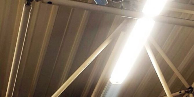 Akbil Çalan Karganın Görüntüleri Güldürdü