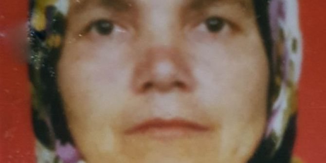 Koyun Otlatırken Olduğu Yere Yığılan Kadın Hayatını Kaybetti