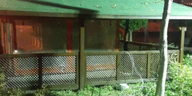 Antalya’da Kedi Ölümlerine Aydınlatmalı Önlem