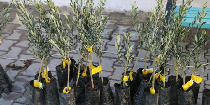 Selendili Üreticiye Büyük Destek