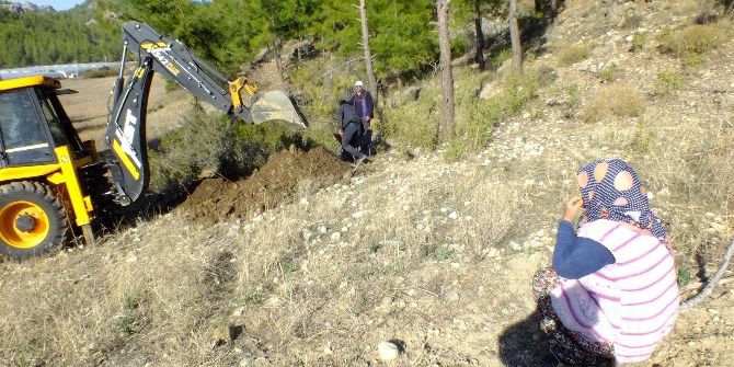 Telef Olan Koyunlarının Arkasından Gözyaşı Döktü