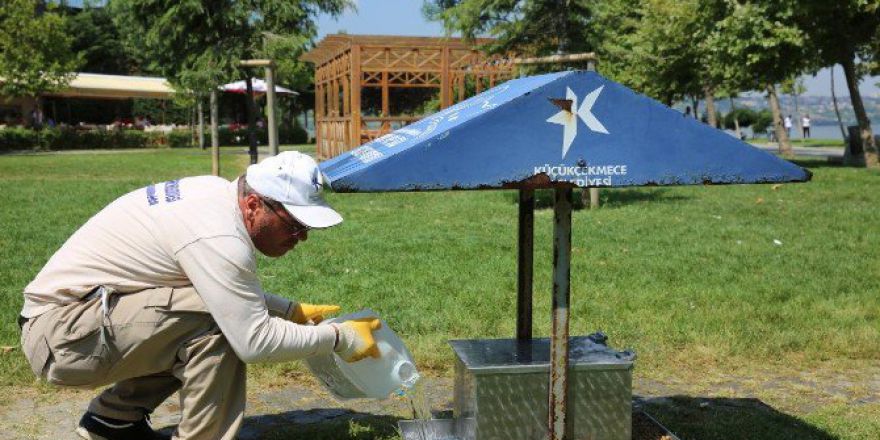 Yaz Sıcaklarında Sokak Hayvanları Unutulmadı