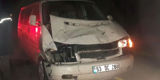 Minibüs Aniden Yola Çıkan İneğe Çarptı