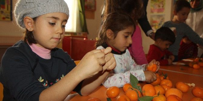 Toroslar Belediyesi, Okullara 7 Ton Mandalina Dağıttı