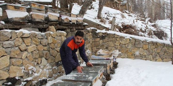Tasarruf İçin Arılarını Kışlatıyor