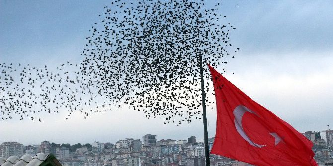 Gökyüzünde Sığırcık Şöleni