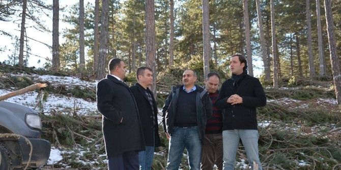 Emet’in Ormanlarını İnceledi