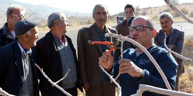 Çiftçiler Antep Fıstığı Üretiminde Bilinçleniyor