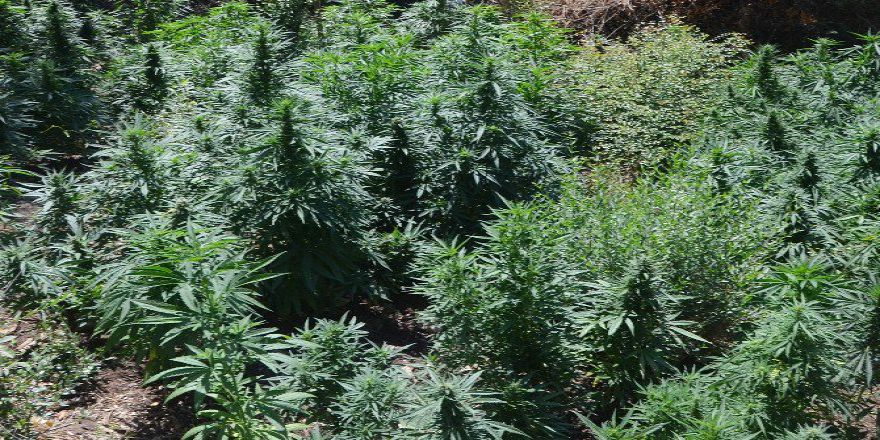 Kumluca’dan Polis Ve Jandarmadan Ortak Operasyon