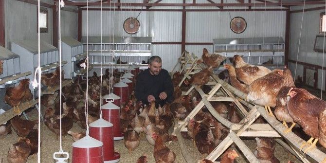 ‘Genç Çiftçi’ Projesinden Faydalandı Çiftlik Kurdu