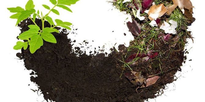 Çankaya, Çöpünü Gübreye Dönüştürecek