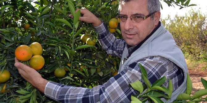 Üreticilere Don Uyarısı