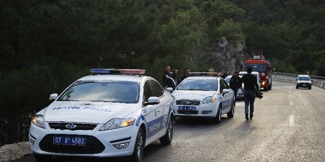 Hayatını Ağaç Kurtardı