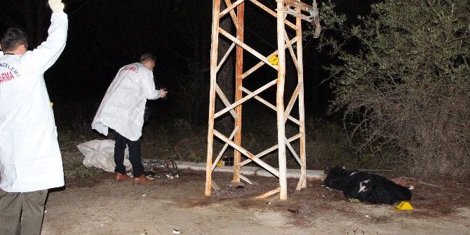 Bakır Kablo İçin Öldü