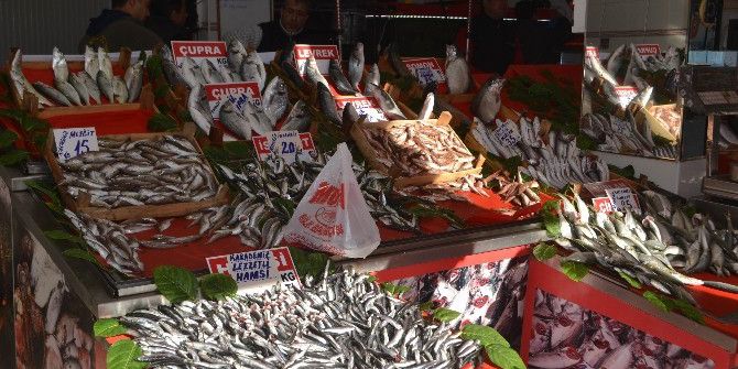 Balıkçıların Hamsi Endişesi