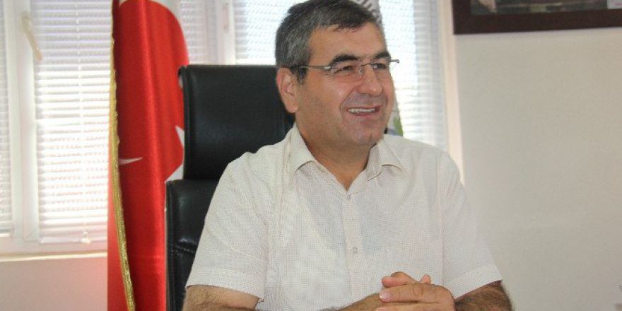 Hambostan Nedir? İt dolanbacı Nedir?