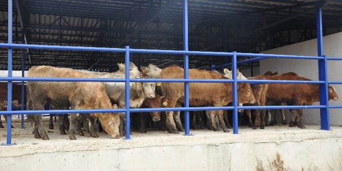 Bozüyük’te Genç Çiftçilere Hibe Desteği