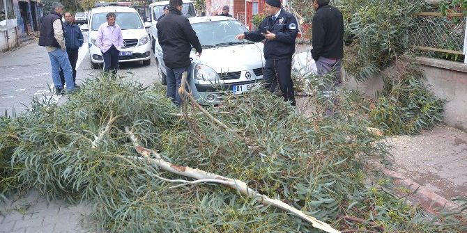 Adana’da Şiddetli Rüzgar Hayatı Olumsuz Etkiledi