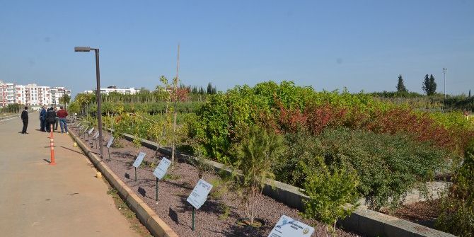 Antalya Orman Fidanlığında Satış Ofisi Açıldı