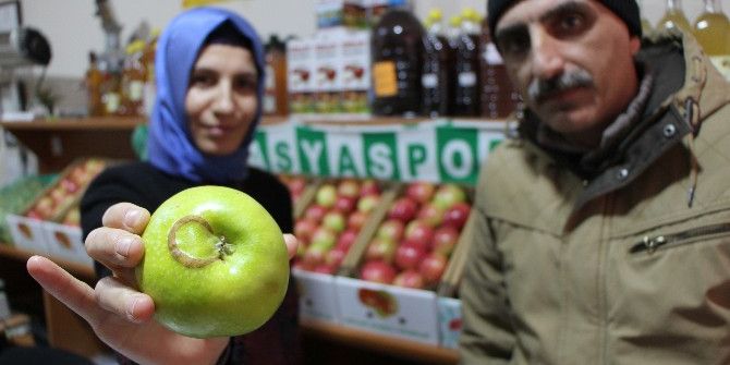 Ay-yıldızlı Elma Görenleri Şaşırttı
