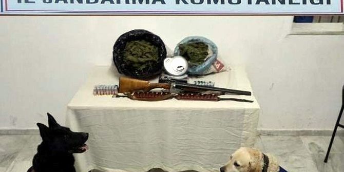 Bozdoğan’da 2,5 Kilo Esrar Ele Geçirildi