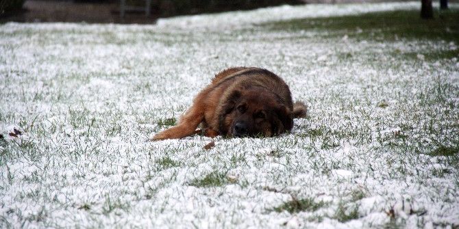 Kocaeli’ne Yılın İlk Karı Yağdı