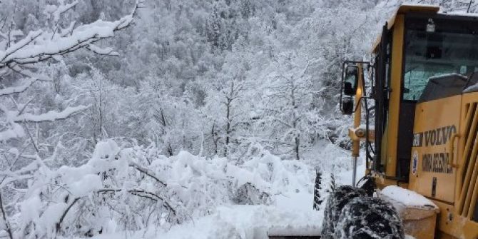 Trabzon’da Karla Mücadele Çalışmaları