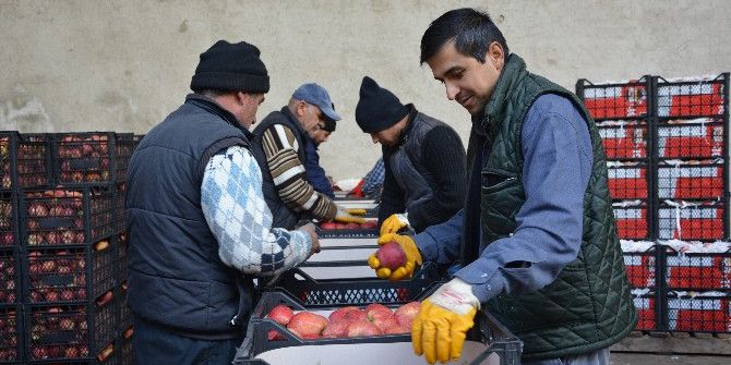 Elma’da Hareket Başladı