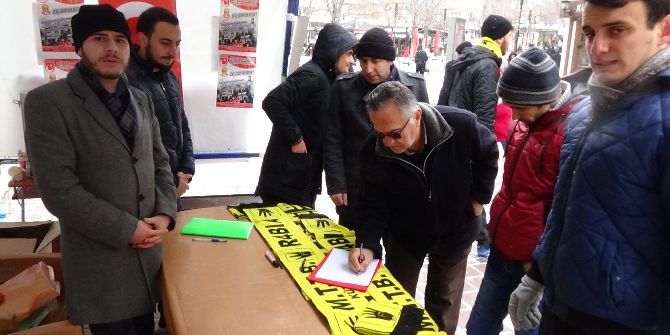 Mttb’li Gençler, Halkın Halep Meselesine Olan Duyarlığını Daha Da Artırmak İçin İmza Kampanyası Başlattı