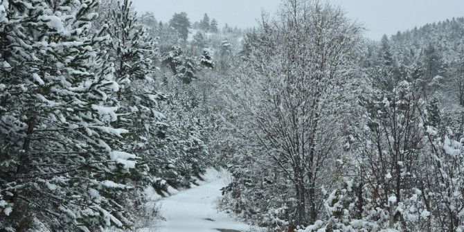 Sinop’ta 181 Köy Yolu Kapandı