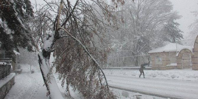 Bingöl’de Hayat Felç Oldu
