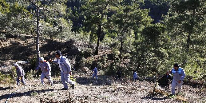 Ormanlık Alandaki Yangına Belediye Personeli Müdahale Etti