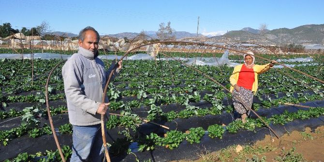 Antalya’da Fırtına Seraları Uçurdu