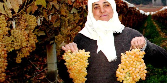 Yılbaşında Sofralar Taze Üzüm Görecek