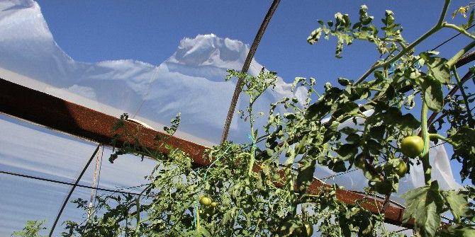 Seydikemer’de Fırtına Seralara Zarar Verdi