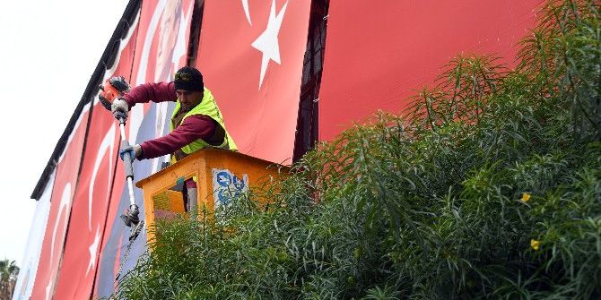 Büyükşehir Belediyesi, Ağaçlara Kış Bakımı Yaptı